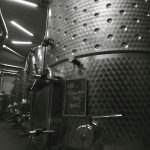 botti fermentazione